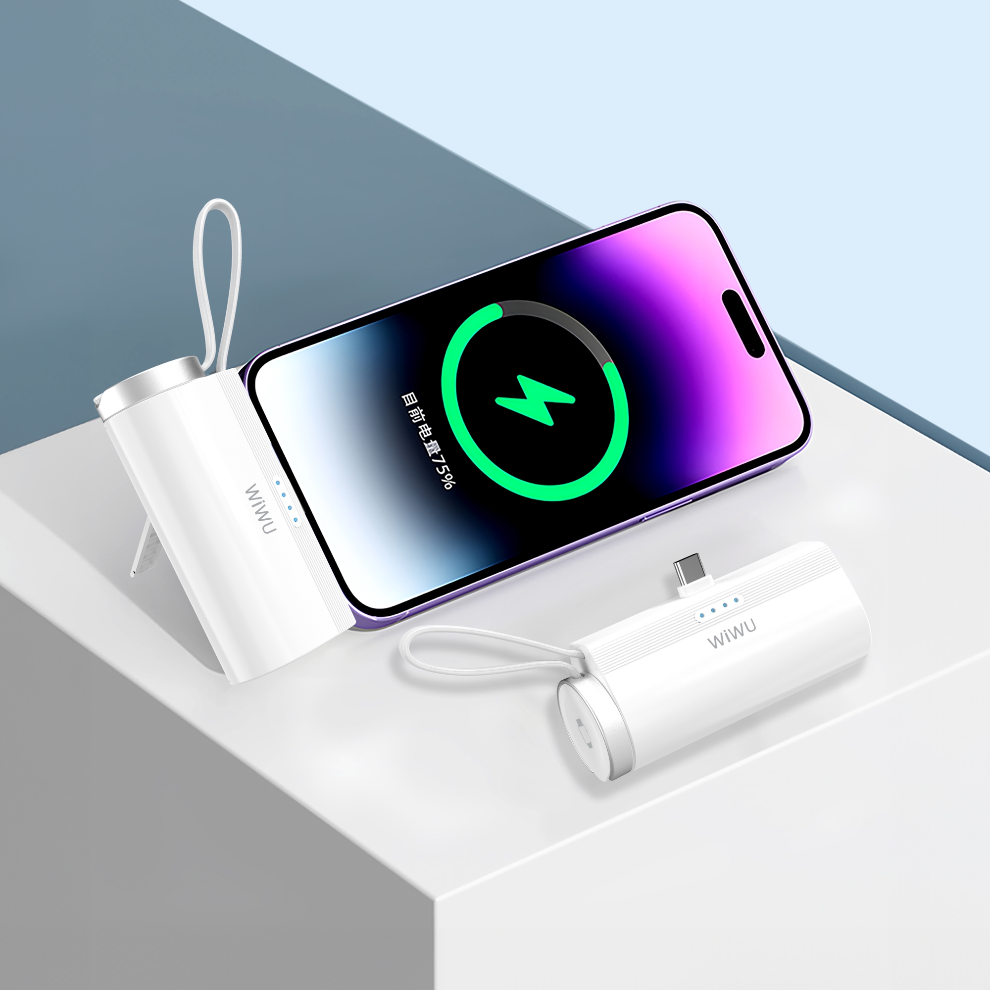 WiWU 2 in 1 Capsule Power Bank - White