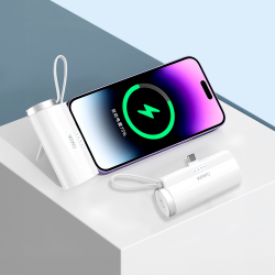  WiWU 2 in 1 Capsule Power Bank - White