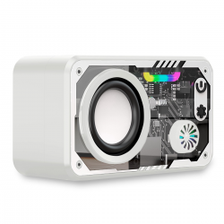 Gift Speaker