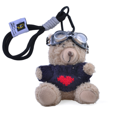 plush bear wearing aviator glasses on head